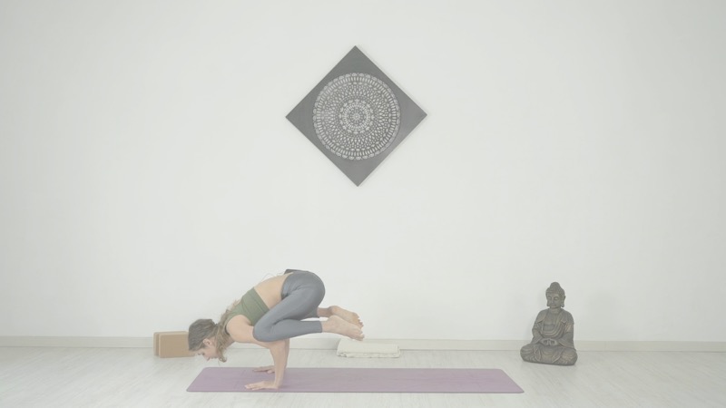 kakasana posizione del corvo Francesca Viola Molinari per rhamni scuola di yoga