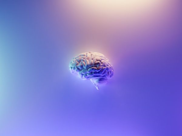 Yoga e neuroplasticità del cervello